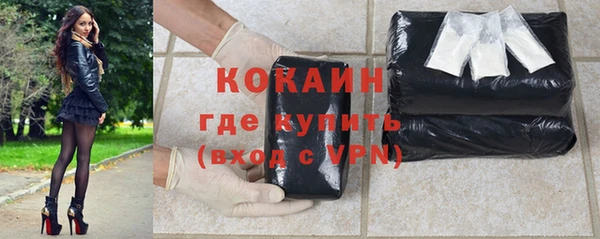 шишки Богородск