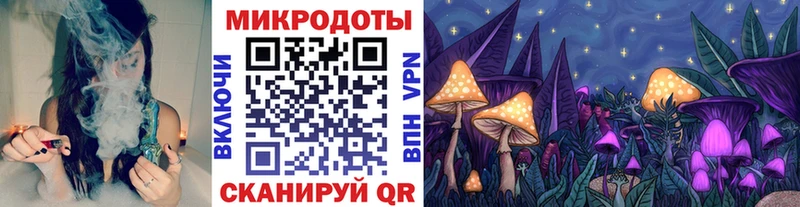 Галлюциногенные грибы мицелий  Верхняя Пышма 
