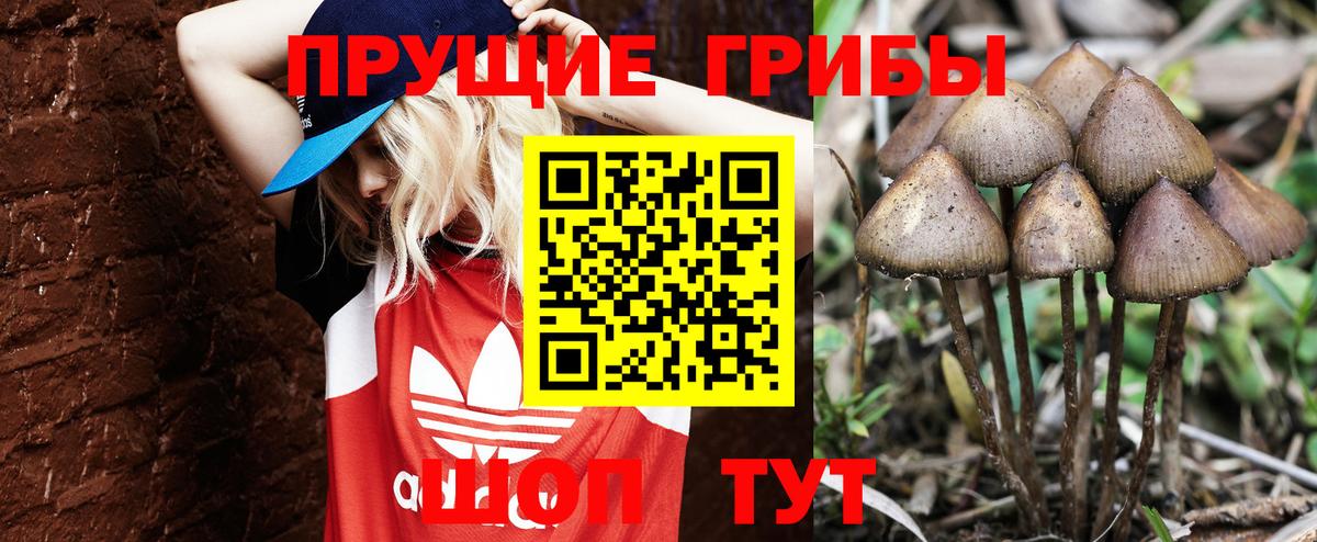 Псилоцибиновые грибы Magic Shrooms  Вход с VPN  Верхняя Пышма 