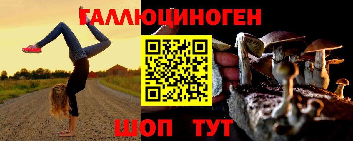 Псилоцибиновые грибы GOLDEN TEACHER Верхняя Пышма